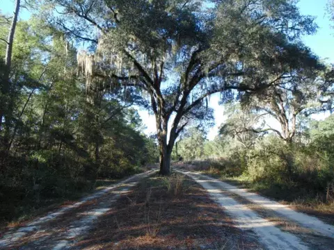 Vacant Aucilla Plantation Court #-, Monticello, FL 32344 photo 16