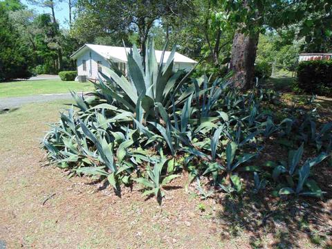 358 SW Florida Loop, Madison, FL 32340 photo 17