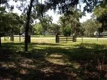 2340 Black Oak Rd, Perry, FL 32348 photo 1
