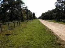 2340 Black Oak Rd, Perry, FL 32348 photo 4