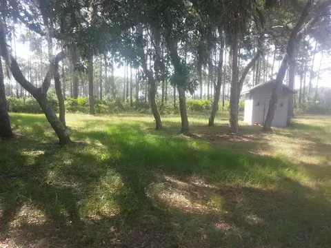22735 Beach Rd, Perry, FL 32348 photo 12