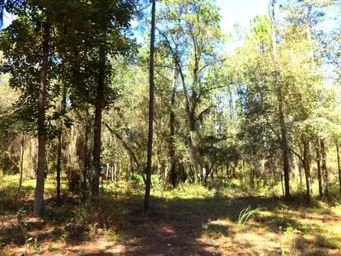 1756 NE River Park #-, Lee, FL 32059 photo 7