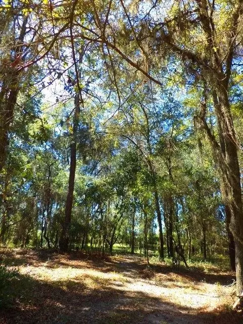 1756 NE River Park #-, Lee, FL 32059 photo 16