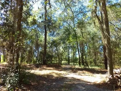 1756 NE River Park #-, Lee, FL 32059 photo 15