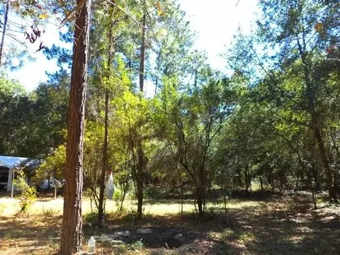 1756 NE River Park #-, Lee, FL 32059 photo 13