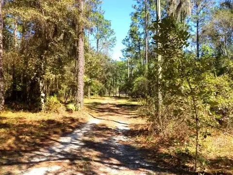 1756 NE River Park #-, Lee, FL 32059 photo 6