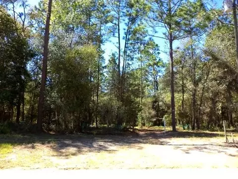 1756 NE River Park #-, Lee, FL 32059 photo 1