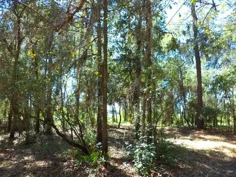 1756 NE River Park #-, Lee, FL 32059 photo 14