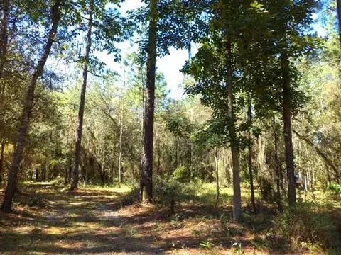 1756 NE River Park #-, Lee, FL 32059 photo 8