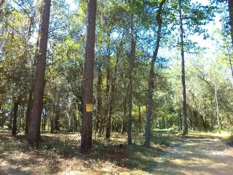 1756 NE River Park #-, Lee, FL 32059 photo 9