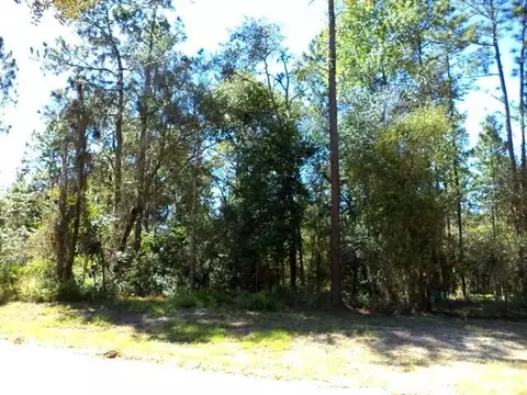 1756 NE River Park #-, Lee, FL 32059 photo 2