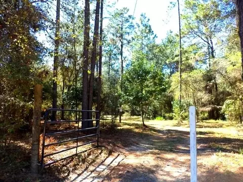 1756 NE River Park #-, Lee, FL 32059 photo 5