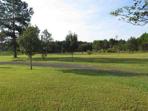7095 S Red Padgett Rd, Perry, FL 32348 photo 3