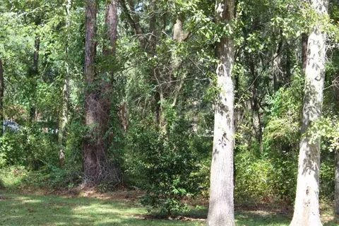 tbd Beech Rd, Monticello, FL 32344 photo 18