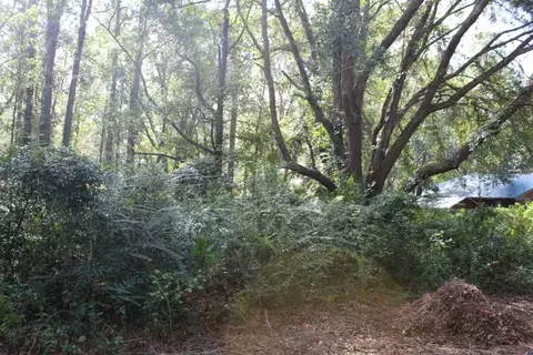 tbd Beech Rd, Monticello, FL 32344 photo 8