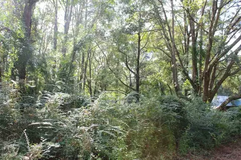 tbd Beech Rd, Monticello, FL 32344 photo 7