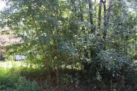 tbd Beech Rd, Monticello, FL 32344 photo 5