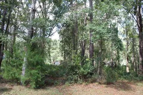 tbd Beech Rd, Monticello, FL 32344 photo 19