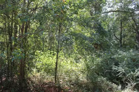 tbd Beech Rd, Monticello, FL 32344 photo 6