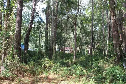 tbd Beech Rd, Monticello, FL 32344 photo 21