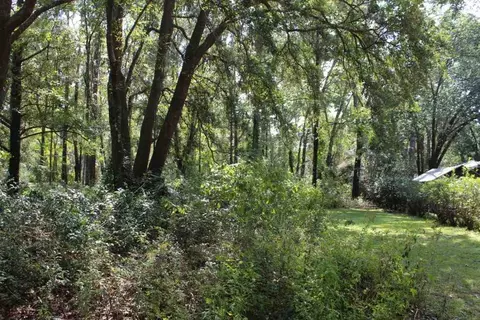 tbd Beech Rd, Monticello, FL 32344 photo 11