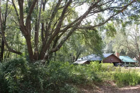 tbd Beech Rd, Monticello, FL 32344 photo 9