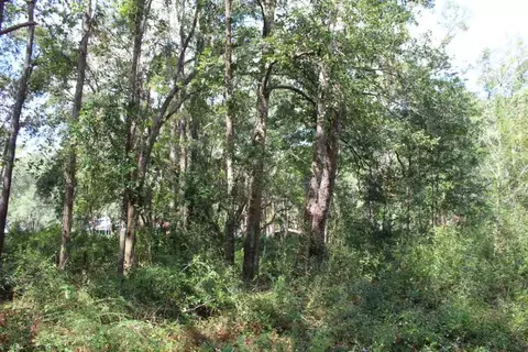tbd Beech Rd, Monticello, FL 32344 photo 22