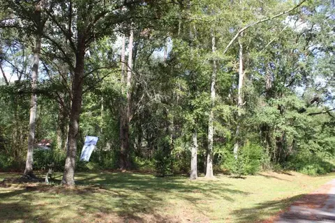 tbd Beech Rd, Monticello, FL 32344 photo 17
