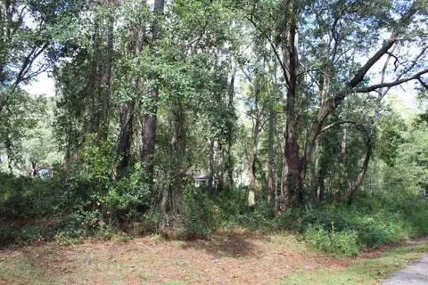 tbd Beech Rd, Monticello, FL 32344 photo 20