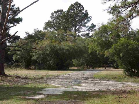 980 Hatchett, Lamont, FL 32336 photo 7