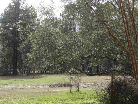 980 Hatchett, Lamont, FL 32336 photo 8