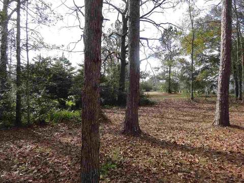 980 Hatchett, Lamont, FL 32336 photo 9