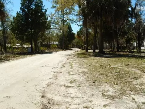 1319 NE Cedar St, Steinhatchee, FL 32359 photo 15