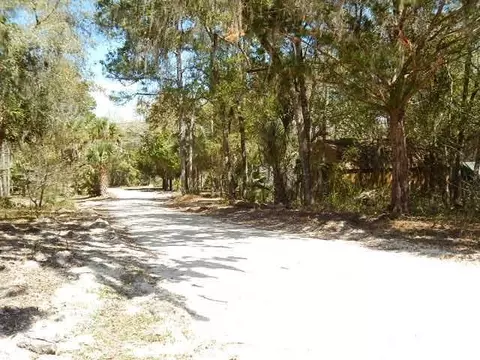 1319 NE Cedar St, Steinhatchee, FL 32359 photo 16