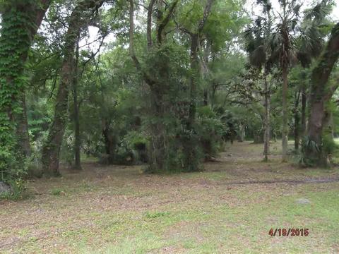 2045 N Us Hwy 221, Perry, FL 32347 photo 24