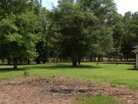 194 Kims Ln, Lamont, FL 32336 photo 21