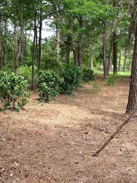 194 Kims Ln, Lamont, FL 32336 photo 18