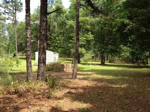 194 Kims Ln, Lamont, FL 32336 photo 24