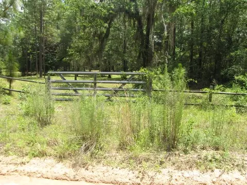 352 NE Timber River Loop, Lee, FL 32059 photo 25