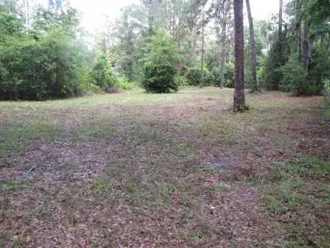 352 NE Timber River Loop, Lee, FL 32059 photo 15
