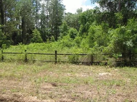 352 NE Timber River Loop, Lee, FL 32059 photo 24