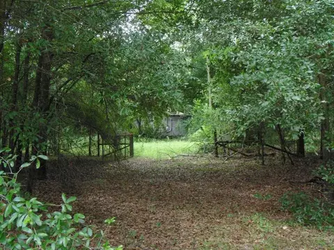 3397 NE Juniper Dr, Lee, FL 32059 photo 5