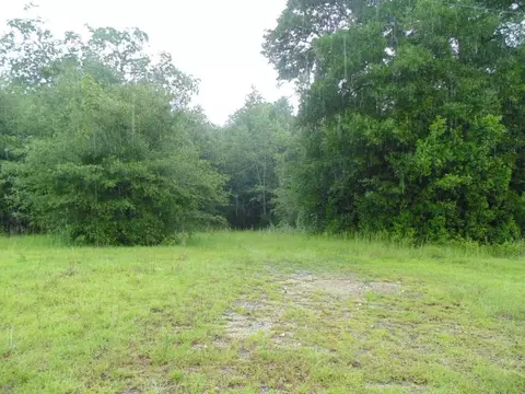 3397 NE Juniper Dr, Lee, FL 32059 photo 25