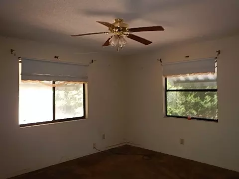 1609 SE Second Ave, Steinhatchee, FL 32359 photo 5