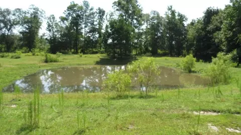 285 Strom Rd, Quincy, FL 32351 photo 21