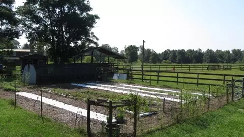 285 Strom Rd, Quincy, FL 32351 photo 15