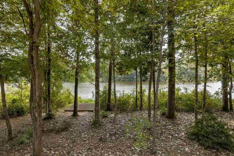 240 Rozena Loop, Havana, FL 32333 photo 4