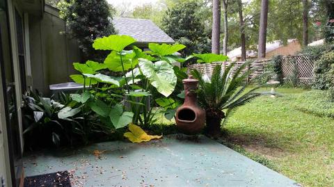 3938 Paces Ct, Tallahassee, FL 32311 photo 11
