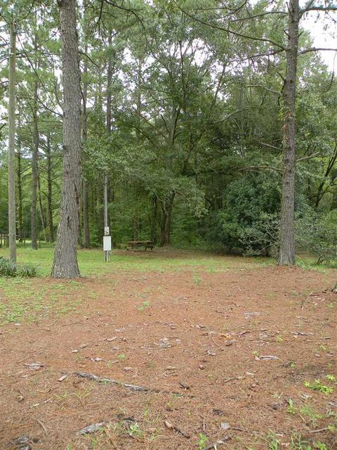 Undisclosed, Midway, FL 32343 photo 20
