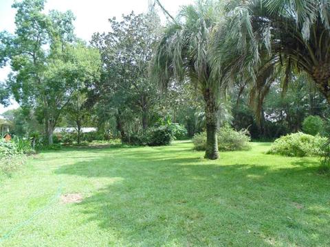 233 NE Ridge Loop, Madison, FL 32340 photo 17